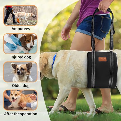 Dog Lift Harness for Large Dogs (Medium (Pack of 1) / Black)