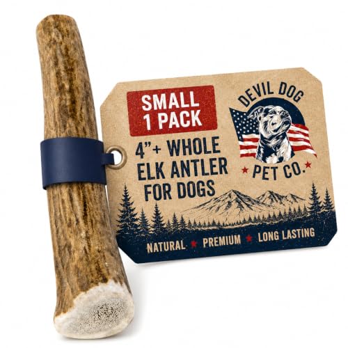 Whole Elk Antlers for Dogs (WHOLE - Small - 1 Pack)