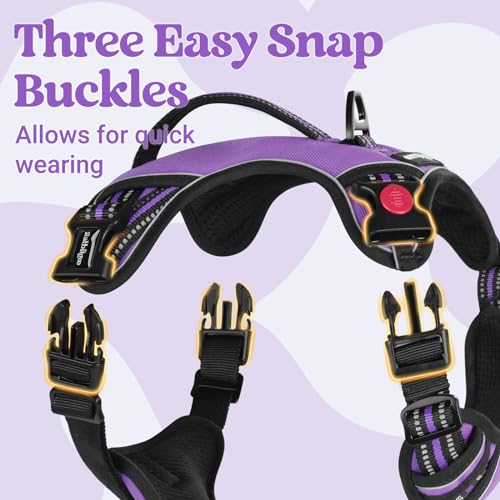Large Dog Harness (Small / Purple)