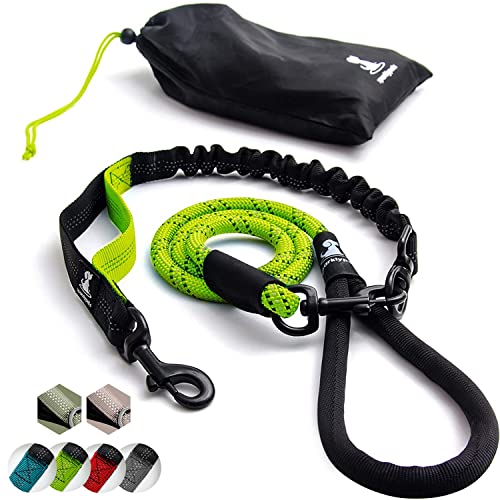 Heavy Duty Bungee Rope Leash (Green)