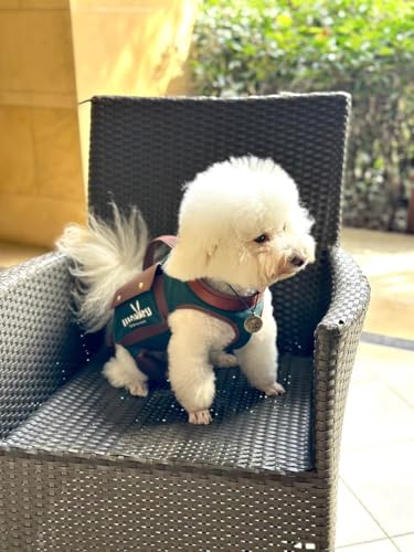 Dog Lift Harness Dog Carrier Sling for Small Dogs & Cats (Large(11-16 LBS) / 1.0 Green)