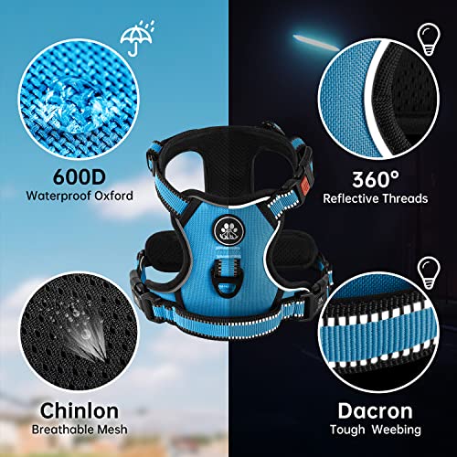 Dog Harness for Small Sized Dog (Blue / Small)