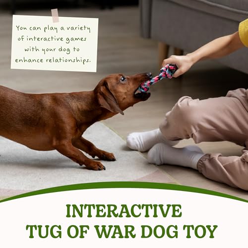 Puppy Rope Toy (1 Pack-Small / Small)