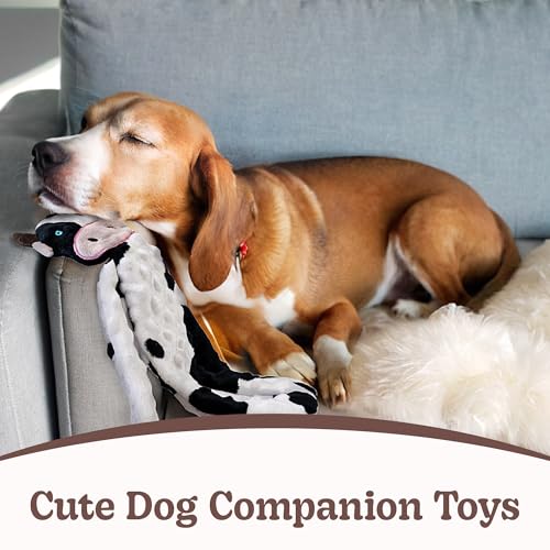 No Stuffing Dog Toys 5 Pack (For Small Breed / 5 Pack - Variety)