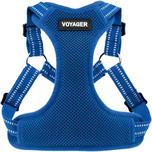 Voyager Step in Flex Adjustable Dog Harness (Harness (Royal Blue) / S)