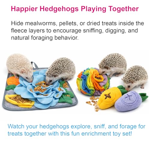 5Pcs Hedgehog Foraging Toy