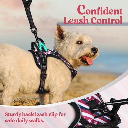 Dog Harness No Pull for Small Dogs with 2 Leash Clips (X-Small / Red Stripe)