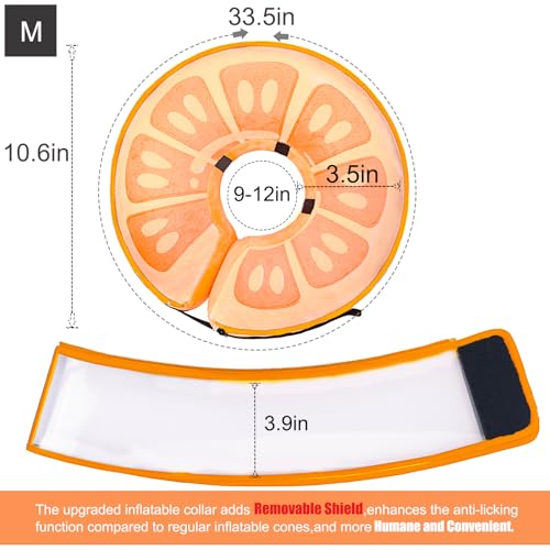 Inflatable Dog Cone Collar for Large Medium Small Dogs (Orange / Medium)