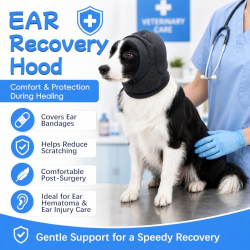 No Shake Dog Ear Wrap Quiet Ear Muffs for Hematoma (Grey / Medium(Head Girth：11.8-15.7in))