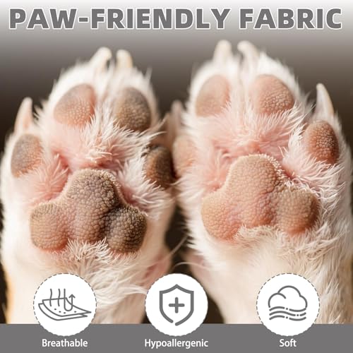 Dog Socks for Hot (Light Grey / Large(4 Pack))