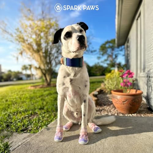 365 Dog Shoes (Pink Purple / Size 7: 2.8"x3.15"(W*L) (Pack of 4))