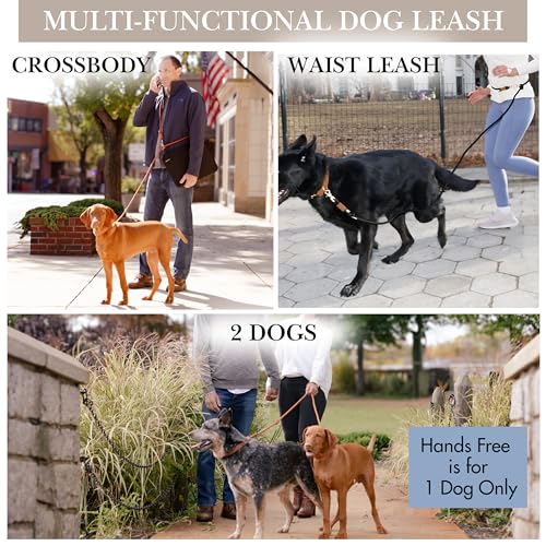 Hands Free Dog Leash (Black / 8.2 ft x 3/8 in)