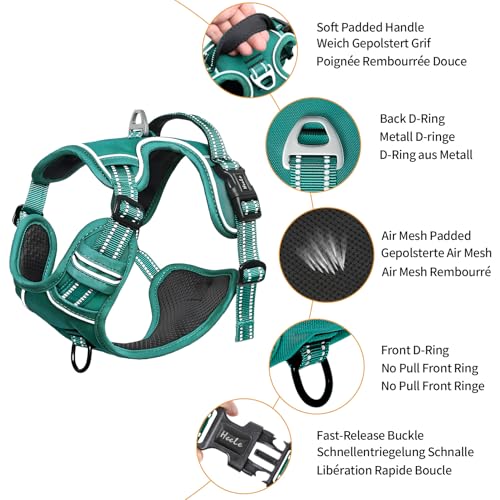 Dog Harness for Small Dogs No Pull Dog Vest Harness for Small Dog with Soft Padded Handle Reflective for Outdoor Training (S / Grass Green)