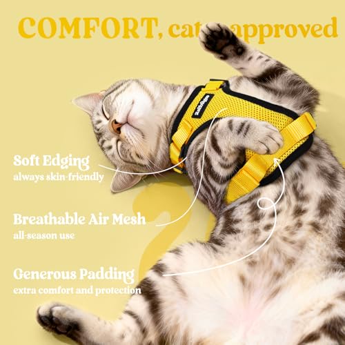 Cat Harness and Leash Set (Xxs / Yellow)