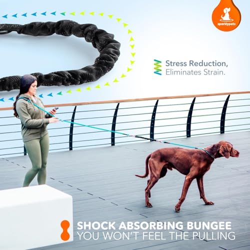 Bungee Rope Handsfree Leash for 1 Dog Medium & Large (Red)