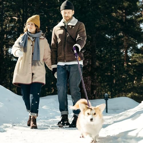 Chain Dog Leash (Purple / 4FT(80-150lb))