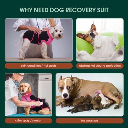 Dog Recovery Suit (Black / Medium)