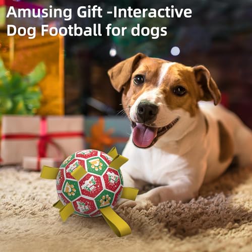 Christmas Dog Toys (Christmas 1 / 8 Inch)