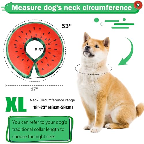 Recovery Donut Collar for Dogs & Cat (Watermelon / XL（neck 18"-23"）)