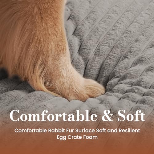 Dog Beds for Large Sized Dog (L(36"*27"*3") / Light Grey)