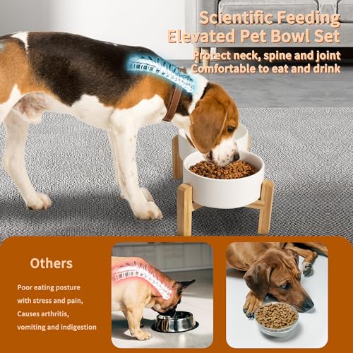 Elevated Ceramic Dog Bowl (White / Medium)