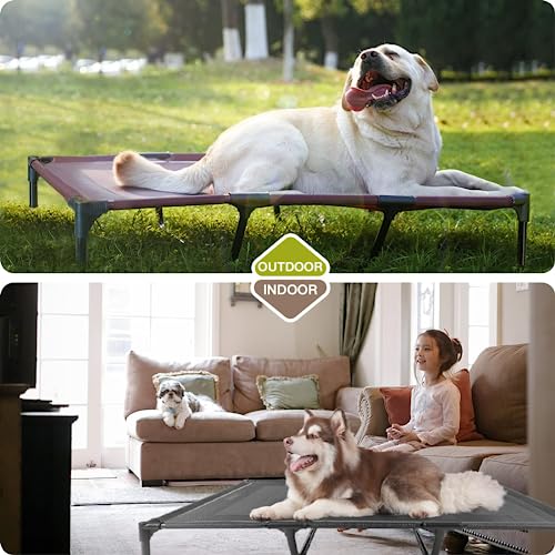 Elevated Dog Bed Waterproof Outdoor (M (30"Lx 23"Wx6.3"H) / Red)