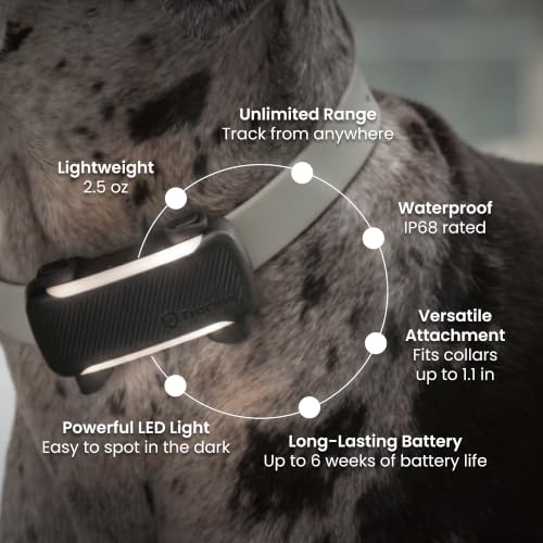 XL Smart Dog GPS Tracker (Black)
