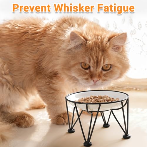 Elevated Ceramic Cat Bowls (anti-slip raised dish,2 pack / fishbone+cat paw)