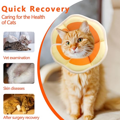 Soft Adjustable Cat Cone Collar (Orange / Small)