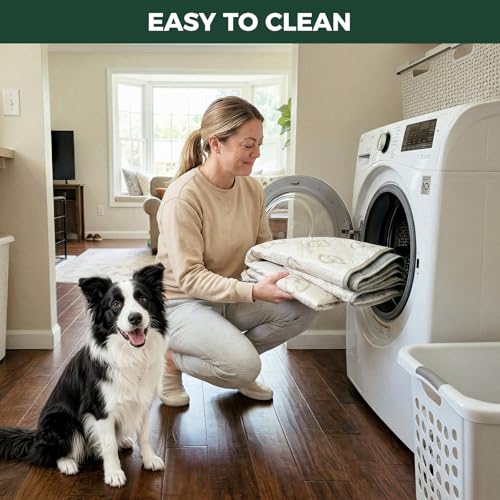 Rollick Dog Playpen with Washable Pee Pad (Black / 32"H)