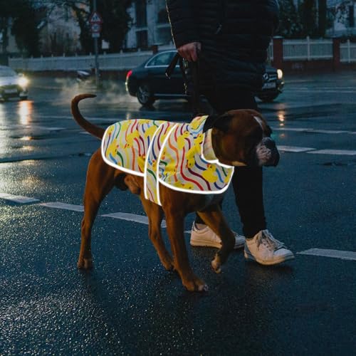 Dog Raincoat Waterproof Dog Rain Jacket with Hood (Rainbow Ducks / X-Small)