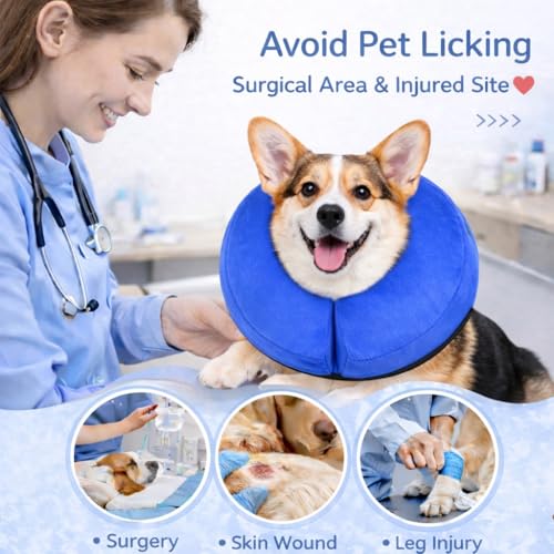 Inflatable Dog Cone Collar Alternative (Blue / S [8"-13"])