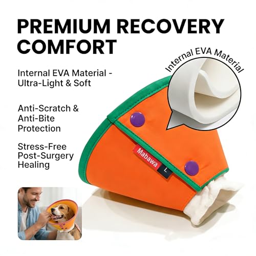 Soft Dog Cone Collar for Dogs & Cats (Orange / L)