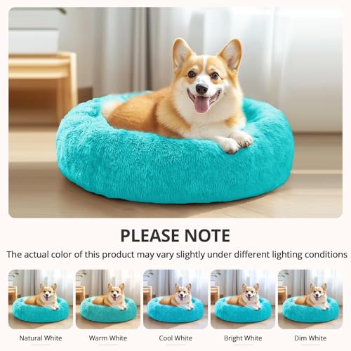 Calming Dog Bed Medium Size Dog (Aqua Blue / 27.0"L x 27.0"W x 8.0"Th)
