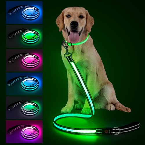 4 Ft LED Dog Leash (4 Ft)