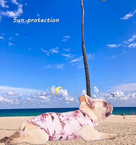 Hawaiian Dog Shirts (Green+Pink / XXX-Large)