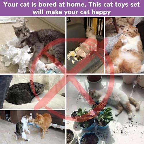 33Pcs Cat Toys for Indoor Cats (Large 2-Way Game Tunnel Toy Set)