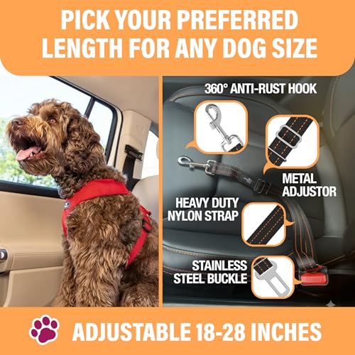 Orange Car Seat Belt for Dogs (Orange - 1 Pack)