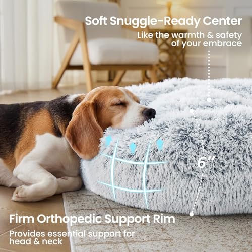 Small Dog Bed (01 - Smoke Grey / 20.0"L x 20.0"W x 6.0"Th)