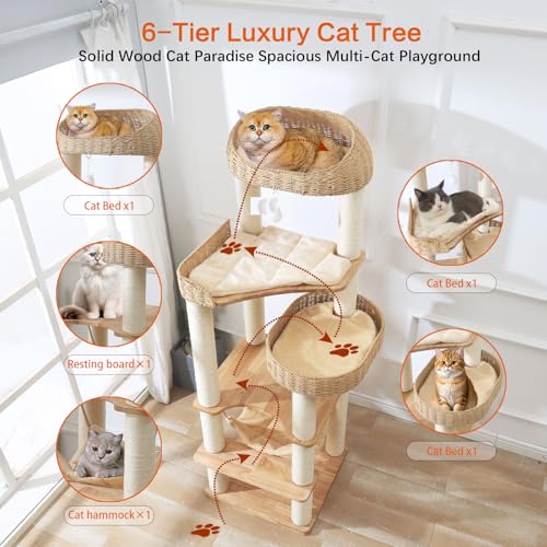 Wooden Cat Tree for Indoor Cats