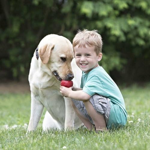 Classic Stuffable Toy (X-Large(2-Pack))