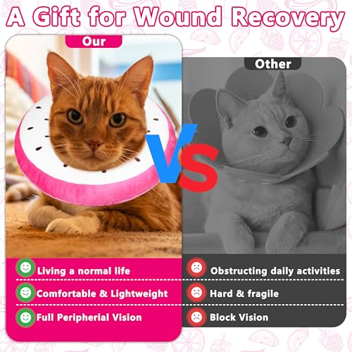 Cat Cone Collar Soft (Dragonfruit / Small)