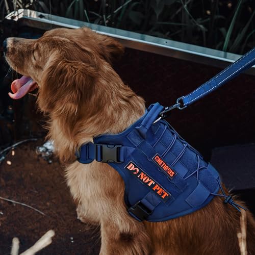 Tactical Dog Harness with Handle No (Large / Blue)