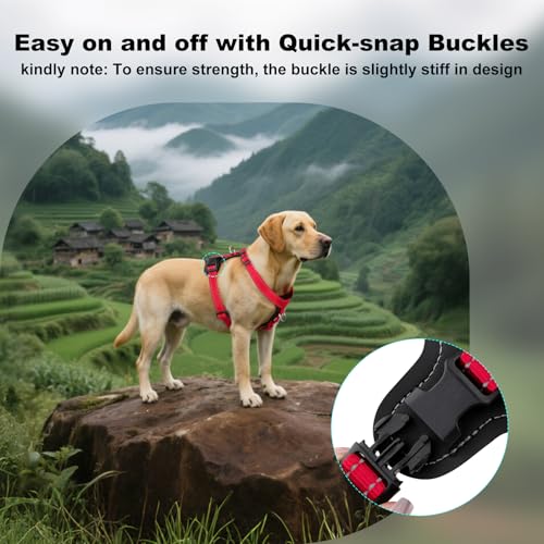 No Pull Dog Harness with Leather Accents (L / Red)