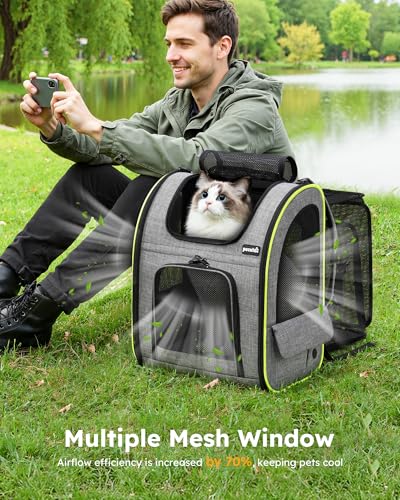 Cat Backpack Expandable (Grey / 15.4"L x 11.0"W x 19.0"H)
