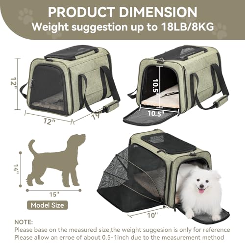 Large Expandable Cat Carrier for Travel (19"L x 12"W x 12"H / Green)