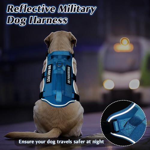 Escape Proof Dog Harness with Double Handle+4 Removable Patches (X-Large / Blue)
