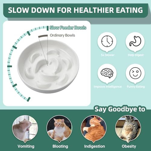2 Pack Ceramic Cat Slow Feeder Bowl Set (White and Green)