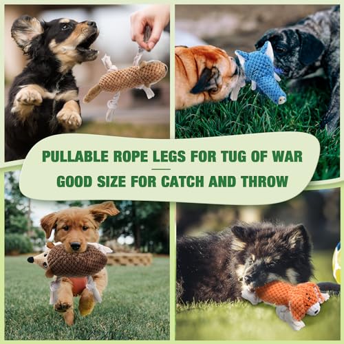 Dog Squeaky Toys for Puppy (5 Pack)