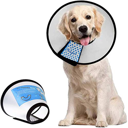 Dog Cone Collar Adjustable After Surgery (White / XXL(Neck: 19~22"))